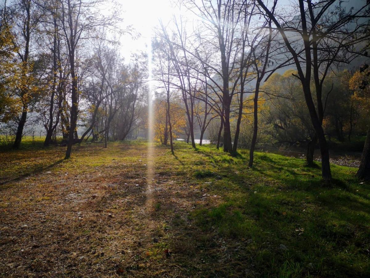 Villa Casute Zavoi Bulz Esterno foto