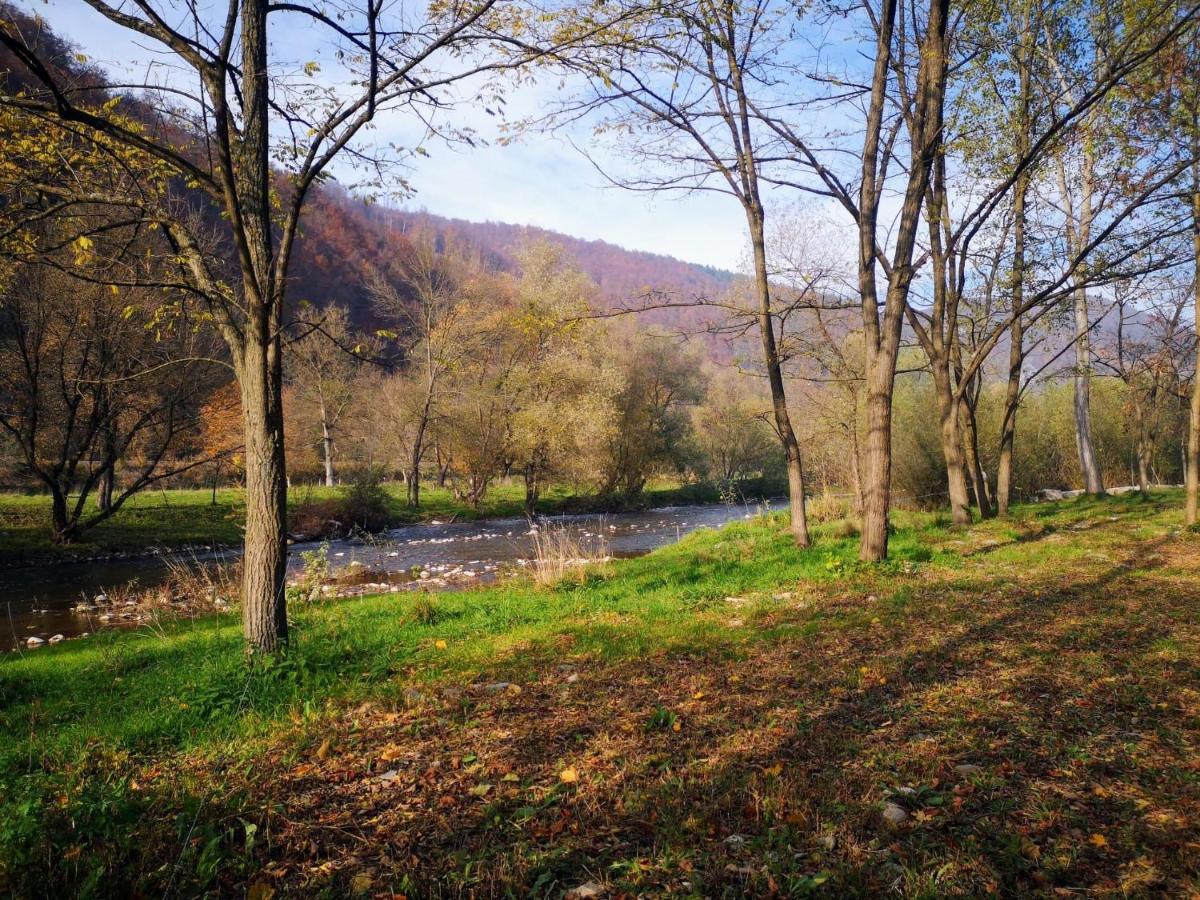 Villa Casute Zavoi Bulz Esterno foto