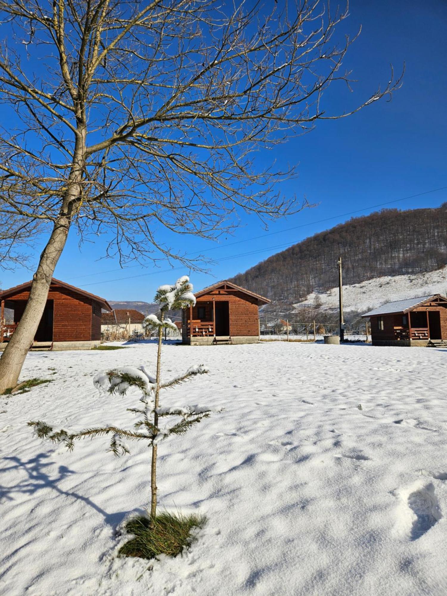 Villa Casute Zavoi Bulz Esterno foto