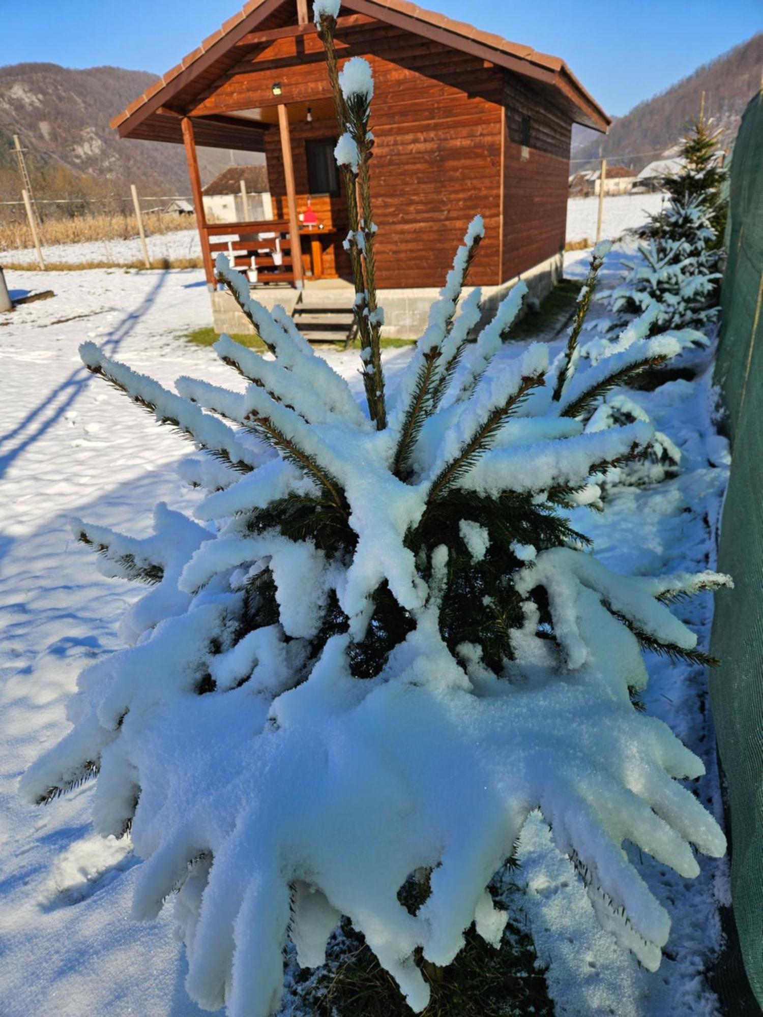 Villa Casute Zavoi Bulz Esterno foto